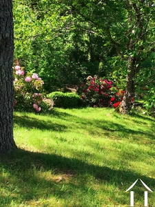 House for sale cussy en morvan, burgundy, cvh5641 Image - 6