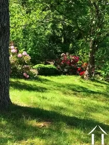 House for sale cussy en morvan, burgundy, cvh5641 Image - 6