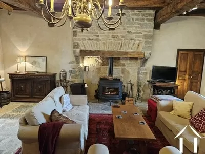 Charming living room with fireplace and many features