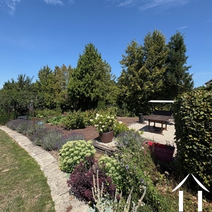 Summer in the garden