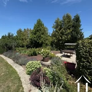 Summer in the garden