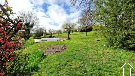 Back garden with pool