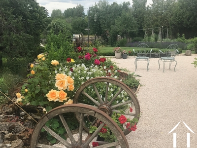 Colourful flowers