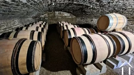 Wine cellar