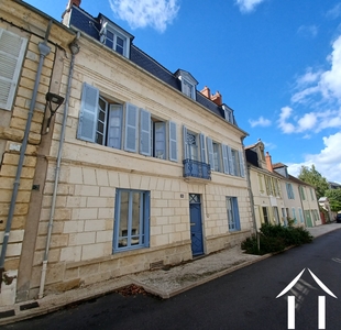 Charming home near the Loire blending historic elegance, generous living spaces in a truly unique setting. Ref # LB5667N 
