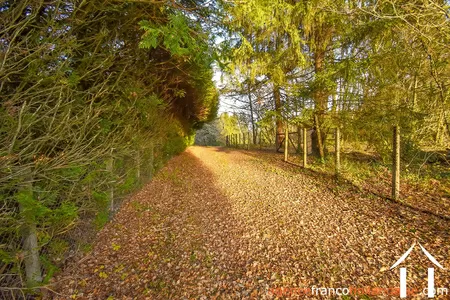 Village house for sale linards, limousin, Li856 Image - 77