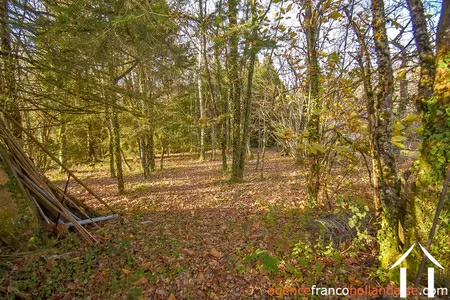 Village house for sale linards, limousin, Li856 Image - 74