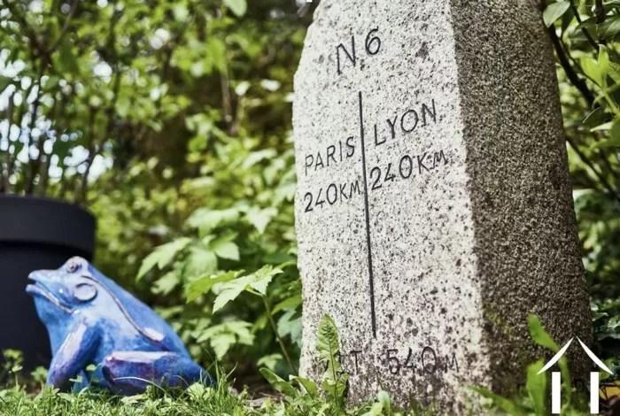 REGIONAL FEATURE image-1