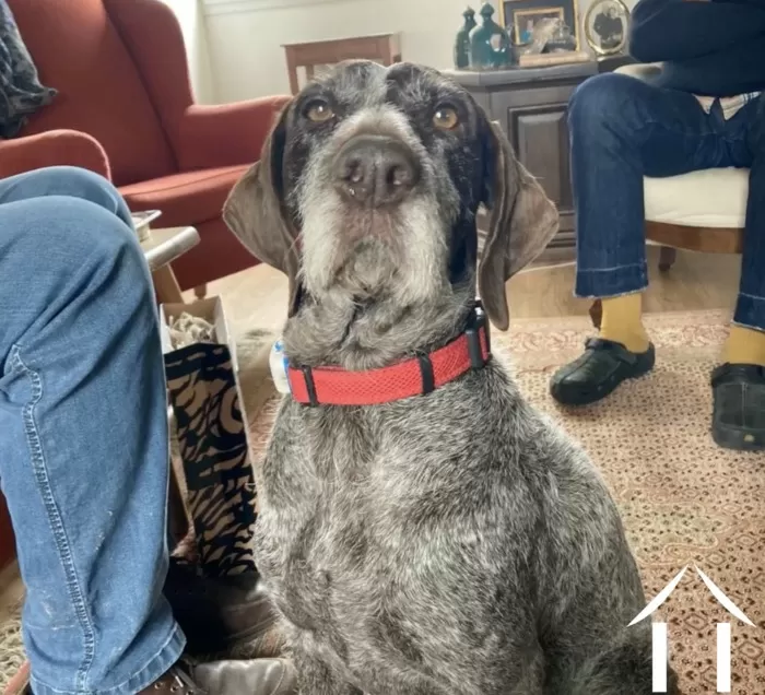 Meet Benjamin Haas image-4