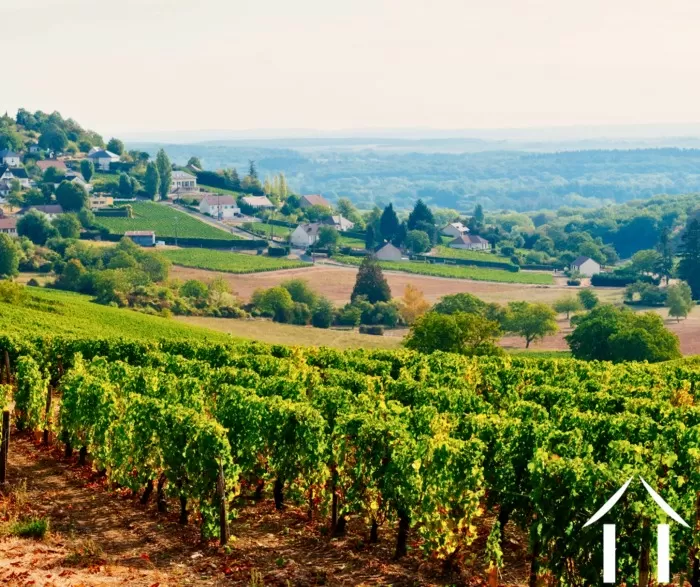 REGIONAL FEATURE image-3