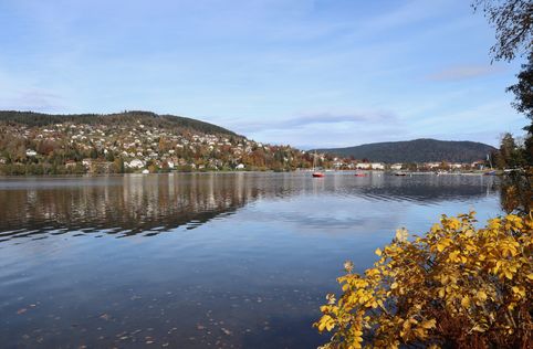 Vosges region